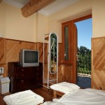 mini-IMG_6267_152x228